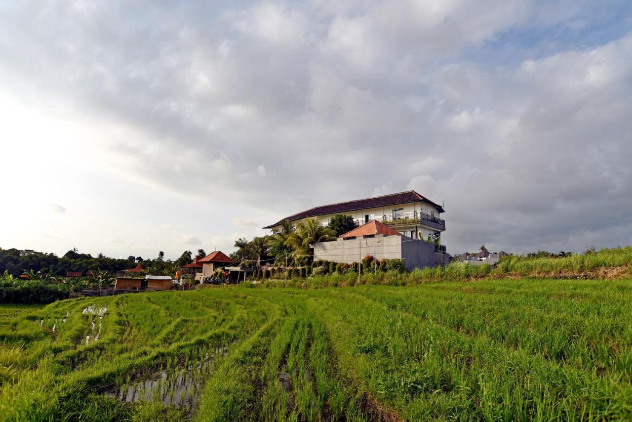 Grandpa Guest House Canggu Exteriér fotografie
