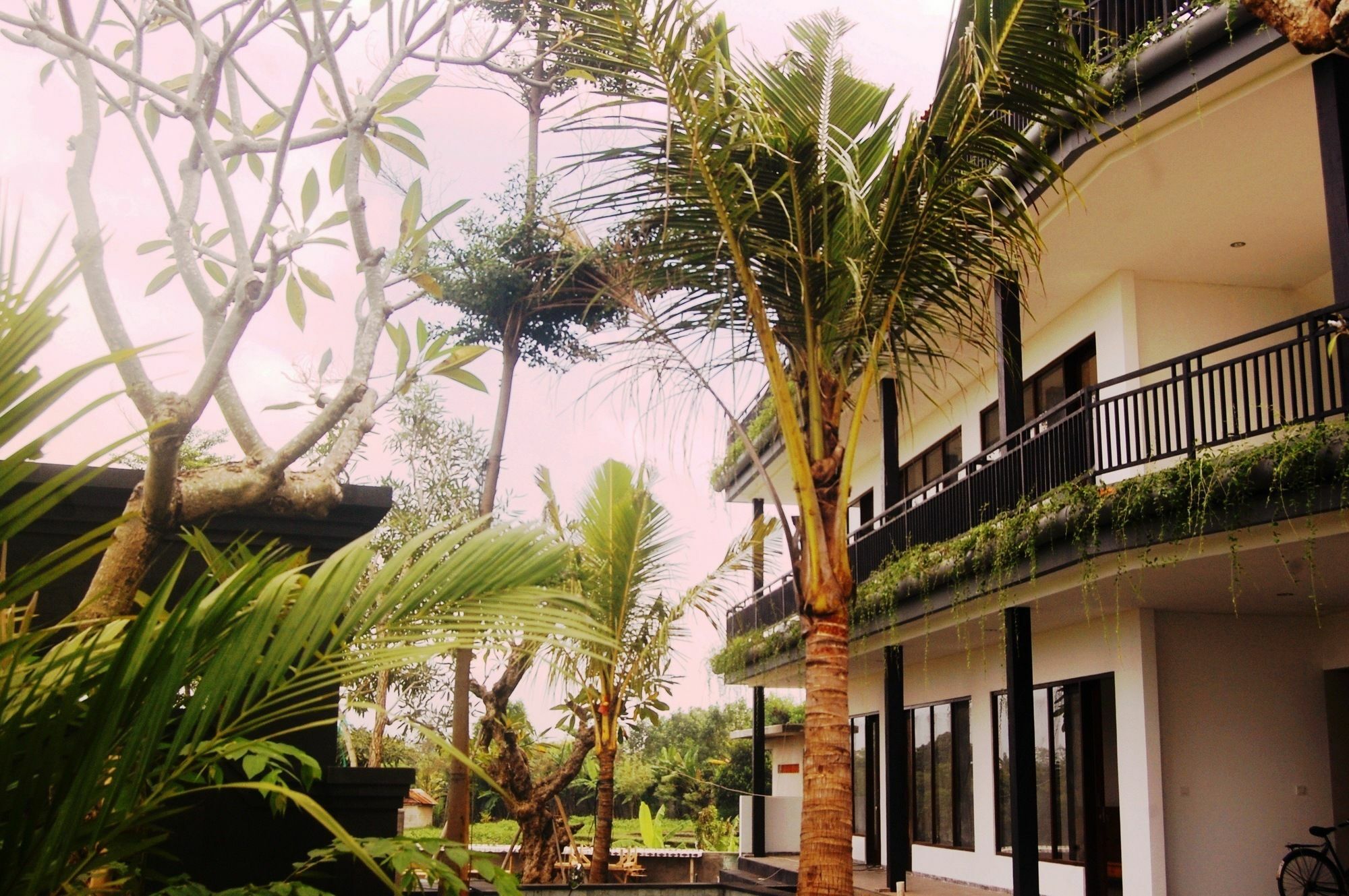 Grandpa Guest House Canggu Exteriér fotografie